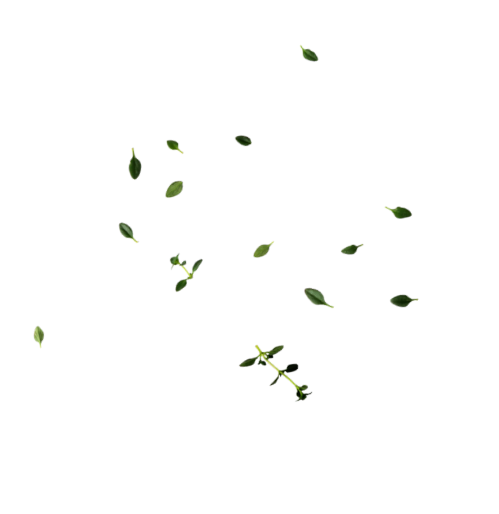 Sabrasa carne a la brasa